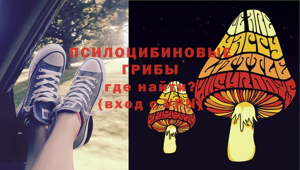 прущая мука Инта