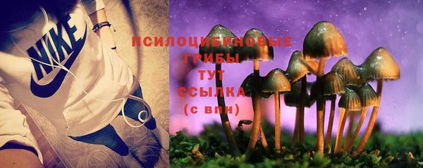mix Иннополис