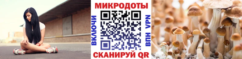 блэк спрут ТОР Каргополь Галлюциногенные грибы Magic Shrooms где продают наркотики